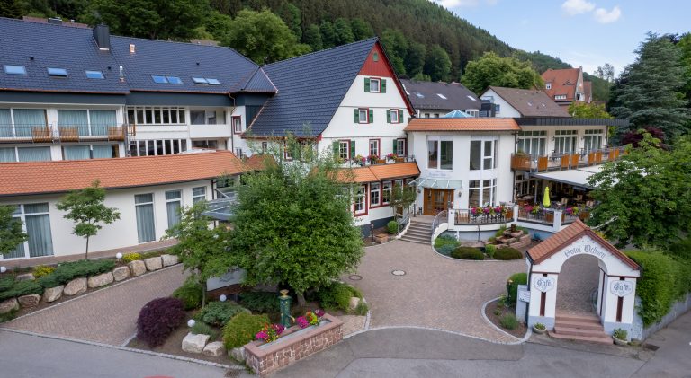 Hotel Ochsen von oben. Großes Haus mit roten Dächern und vielen Bäumen. Vorne ein Bogen mit dem Namen. Wege, Blumen, Figuren – ruhig in der Natur.
